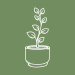 قواوير زراعة