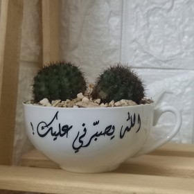 قوّار بعبارة ( الله يصبّرني عليك ) على شكل فنجان للصبارات