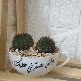 قوّار بعبارة ( الله يصبّرني عليك ) على شكل فنجان للصبارات